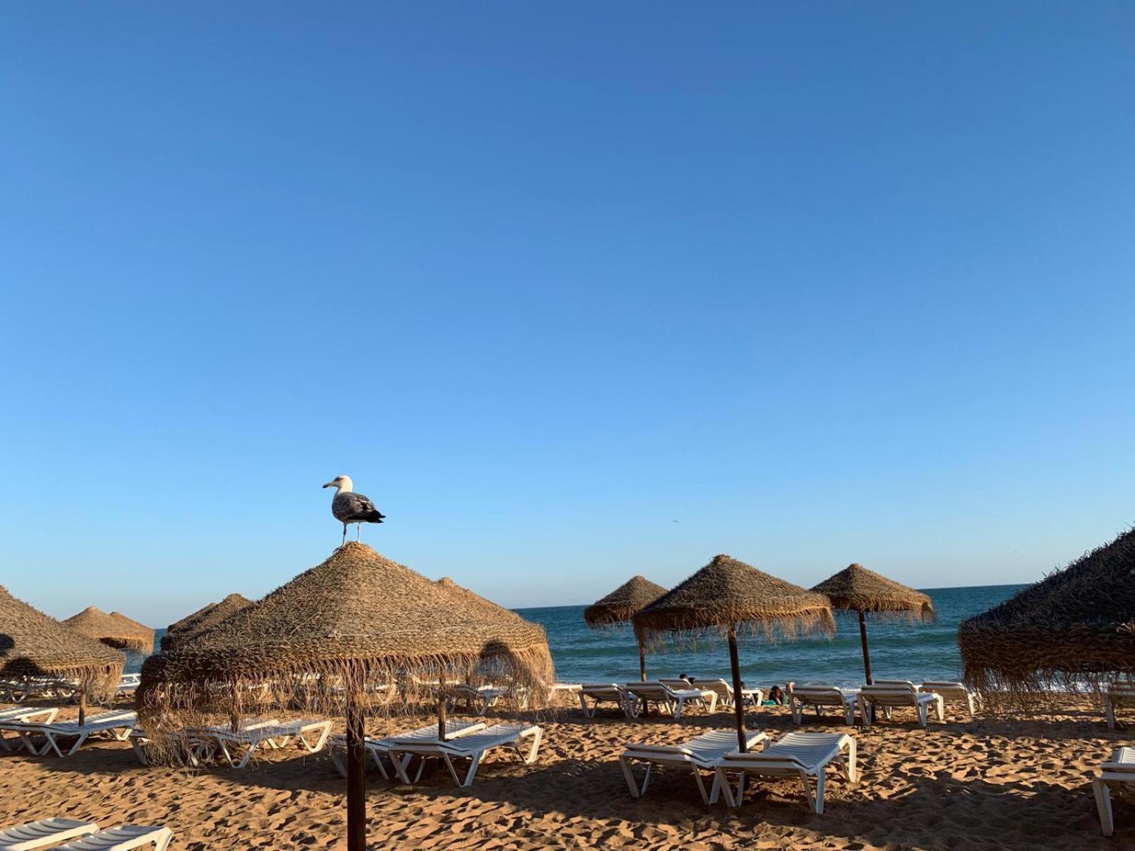 Olimar Sea View Apartment Албуфейра Екстериор снимка